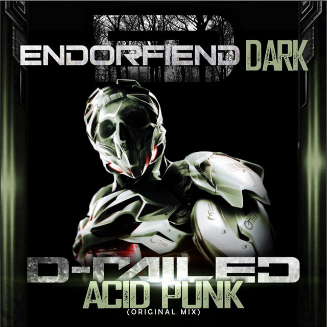 Acid Punk cover