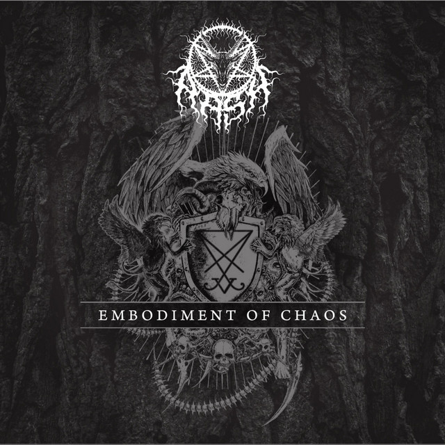 Embodiment Of Chaos cover art