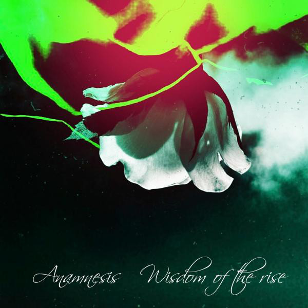 Wisdom of the Rise cover