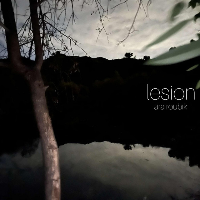 Lesion cover art
