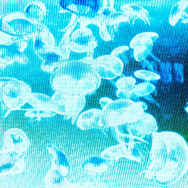 miintiendome cover art