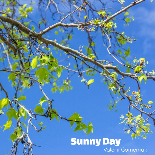 Cover art: Sunny Day — Valerii Gomeniuk