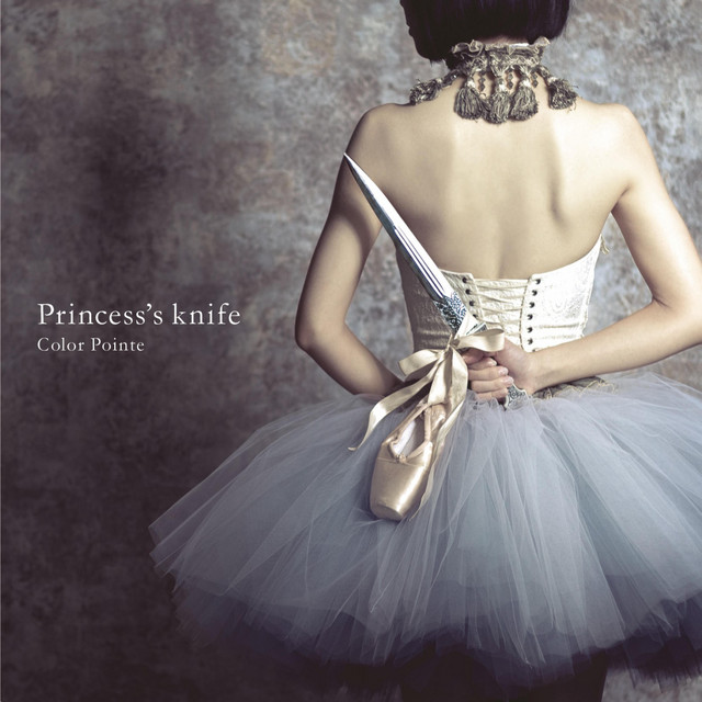 Princess's knife cover art