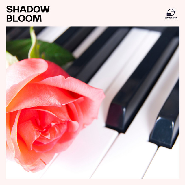 Shadow Bloom: Solo Piano Playlist