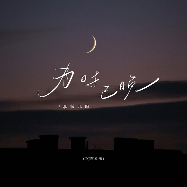 为时已晚(越大越觉孤单) - Dj阿卓版
