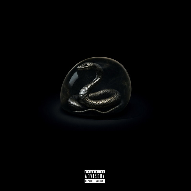 Titanyum cover art