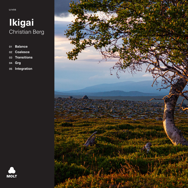 Ikigai cover art