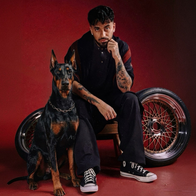 undefined album image