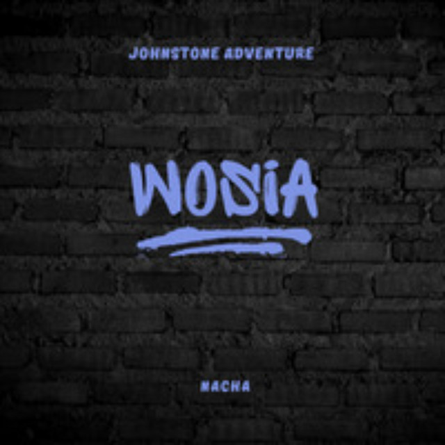 Johnstone Adventure