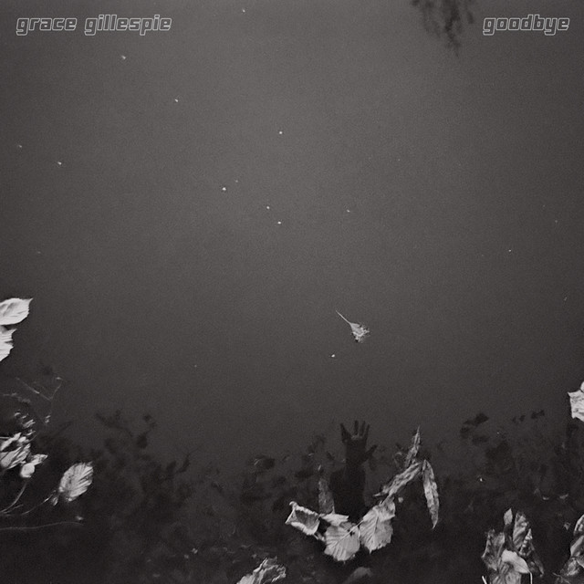 Goodbye cover