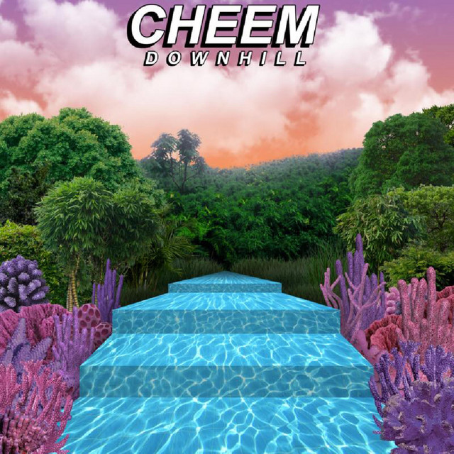 Downhill cover art