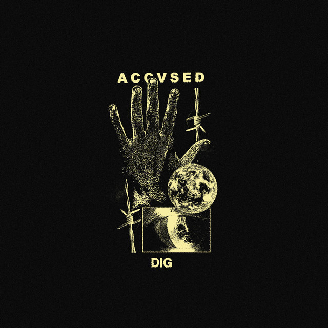 Dig cover art