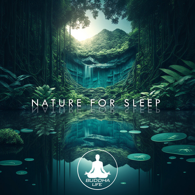 Nature for Sleep cover art
