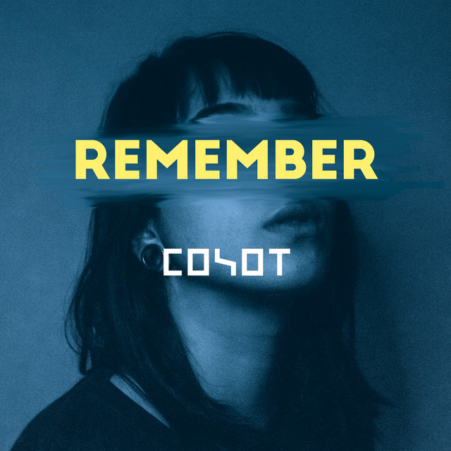 Remember cover art