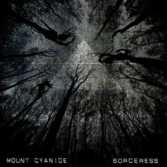 Fireflies cover art