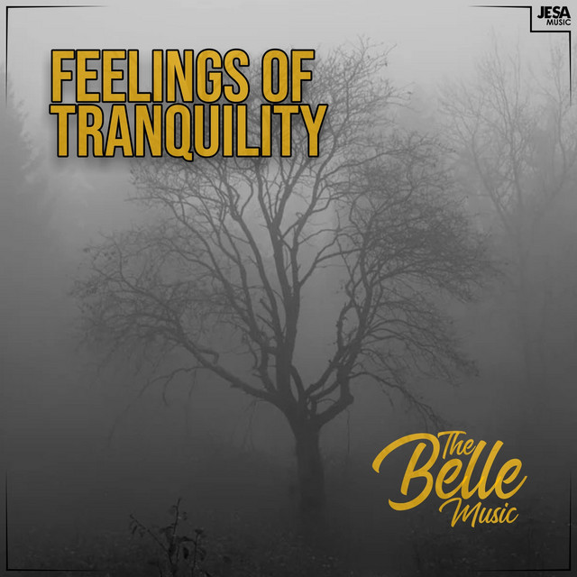 Feelings of Tranquility cover art