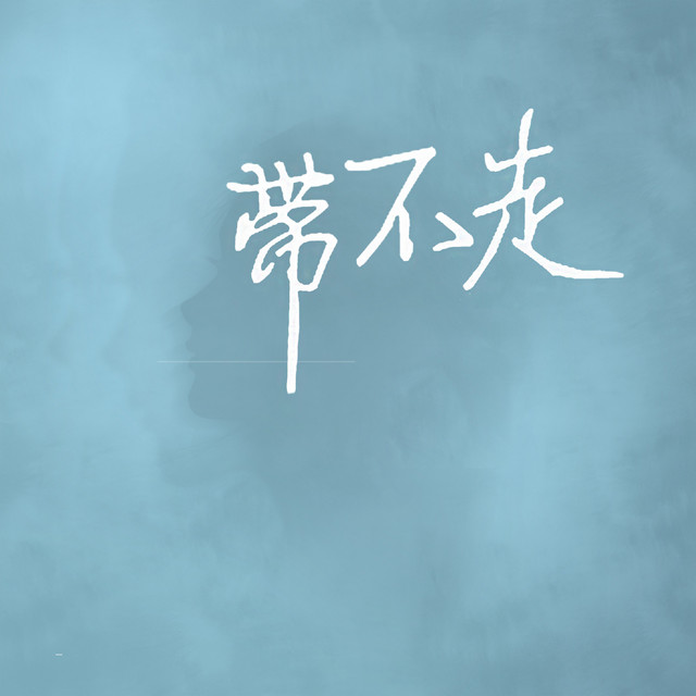 带不走 (DJ名龙版) cover