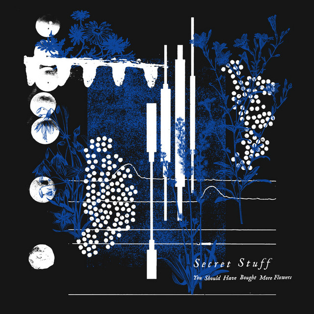 You Should Have Bought More Flowers cover art