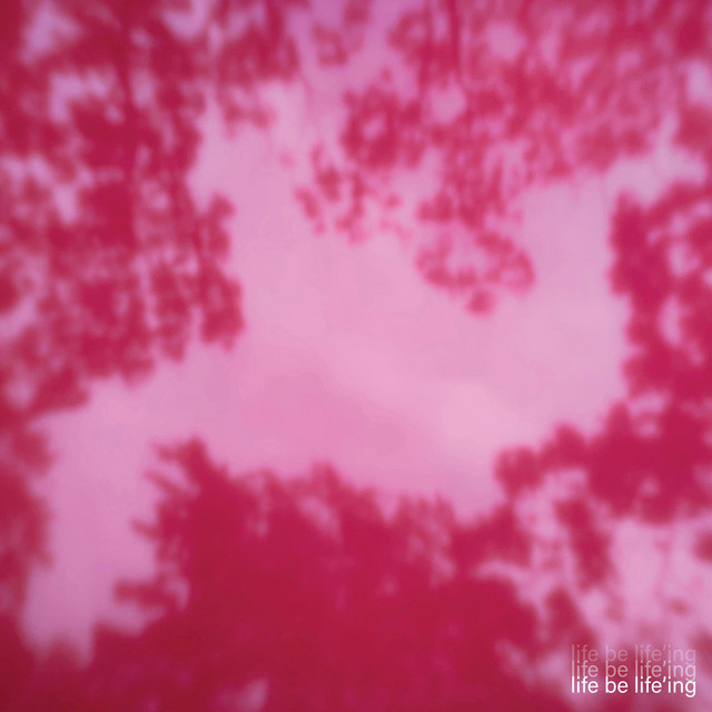 Life Be Life'ing cover art