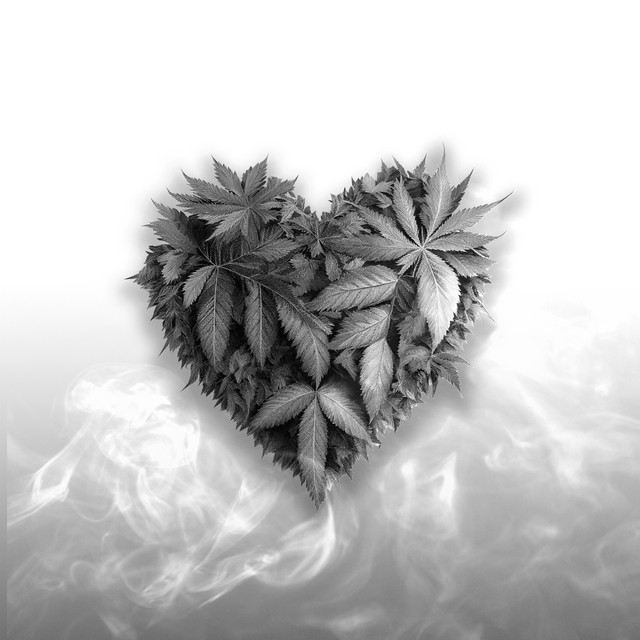 TE AMO cover art