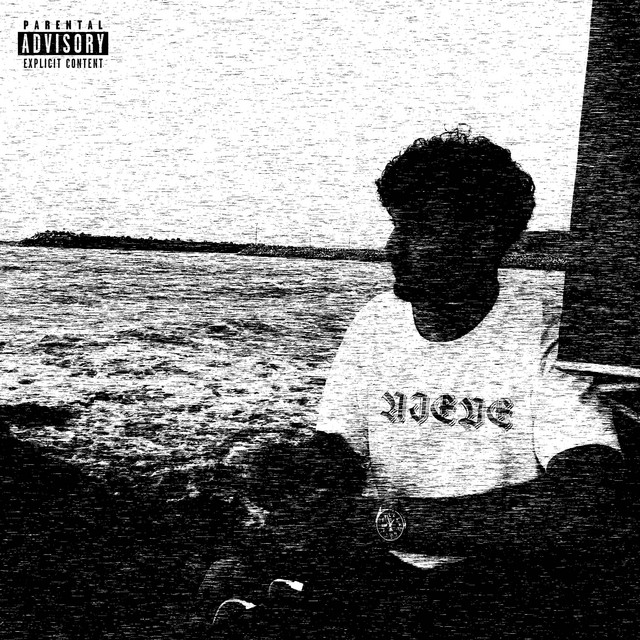 NIEVE cover art