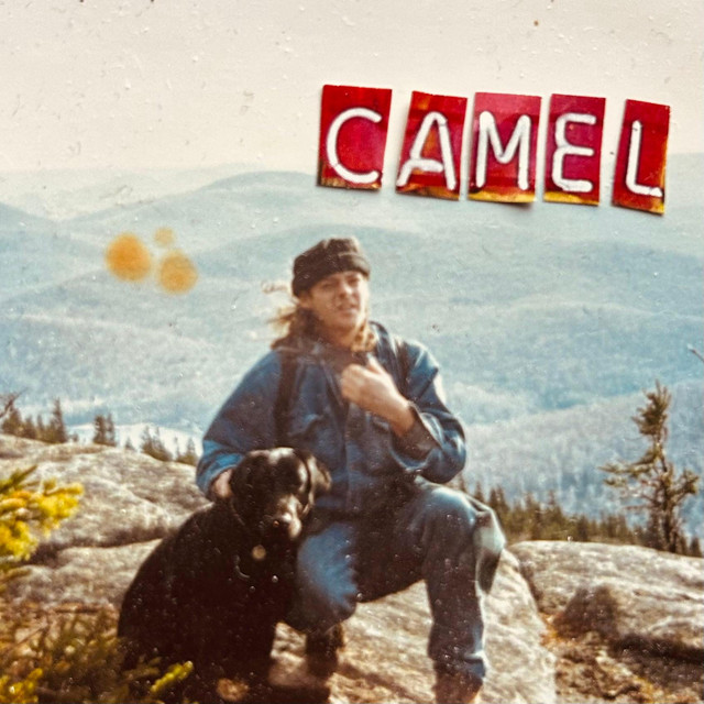 Camel cover art