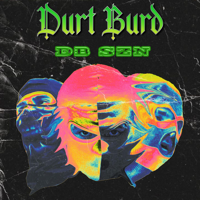 DB SZN VOL 1 cover art