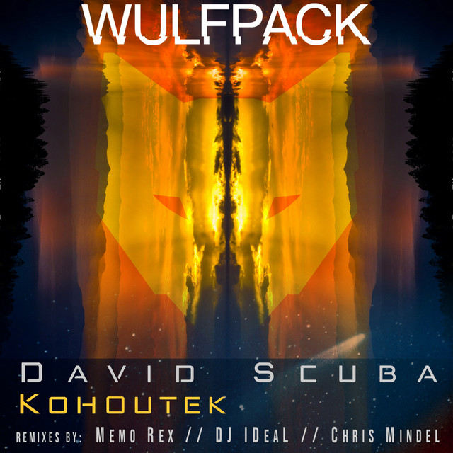 Kohoutek album art