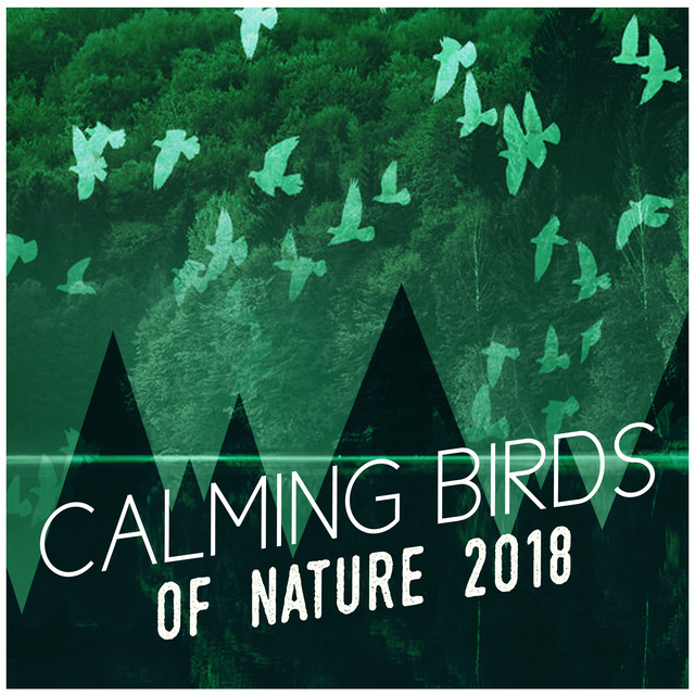 Calming Birds of Nature 2018 cover art