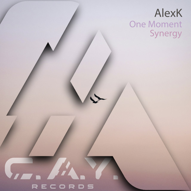 Обкладинка AlexK — One Moment, Synergy