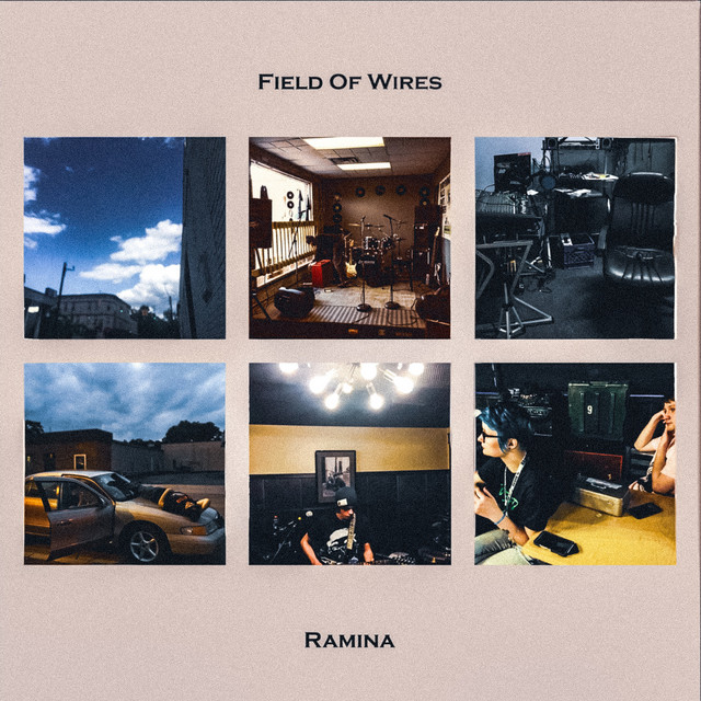 Field of Wires cover art
