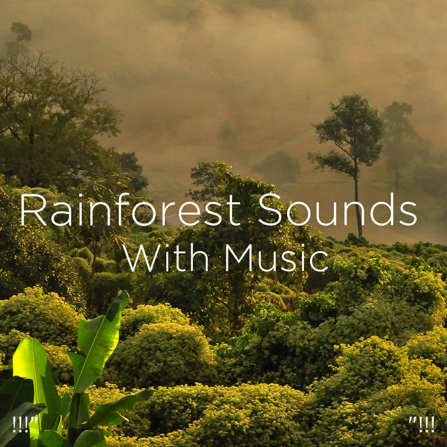 !!!" Rainforest Sounds With Music "!!! cover art
