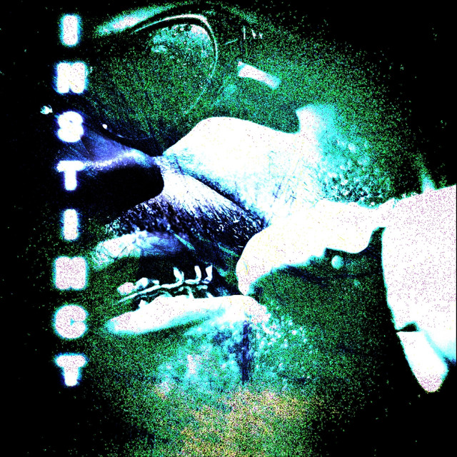 INSTINCT cover art