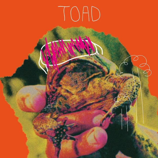 TOAD