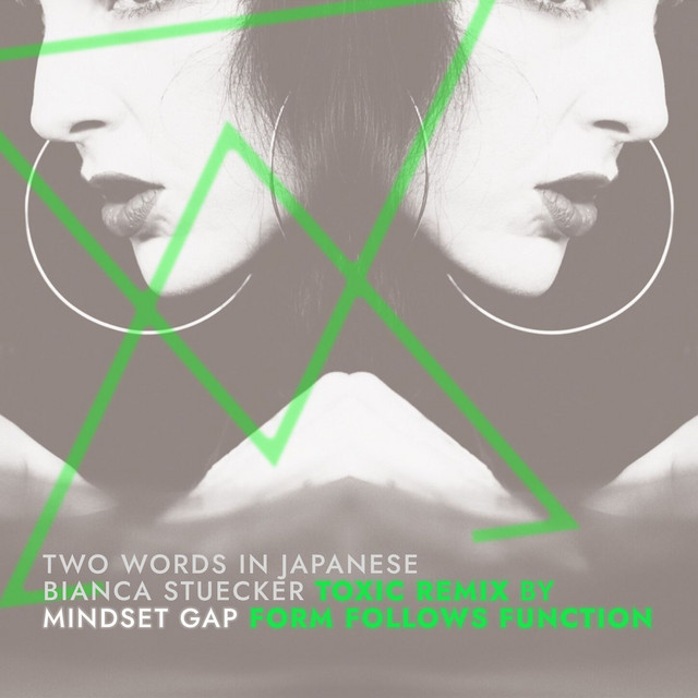 Mindset Gap (Toxic Remix by Form Follows Function) cover