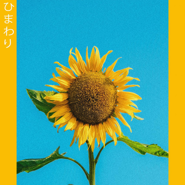Sunflower cover art