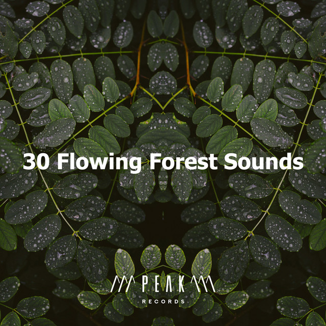 30 Flowing Forest Sounds - Album by Nature Sounds Artists | Spotify