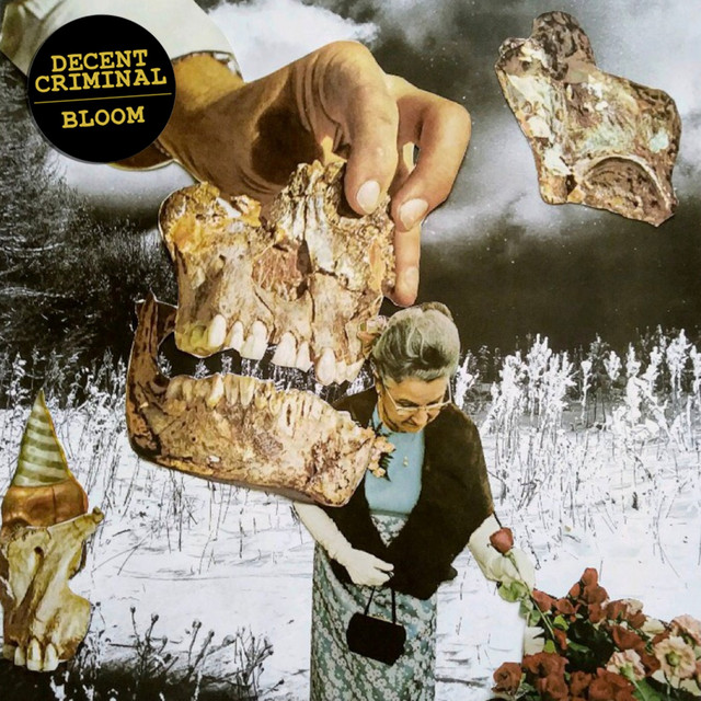 Bloom cover art