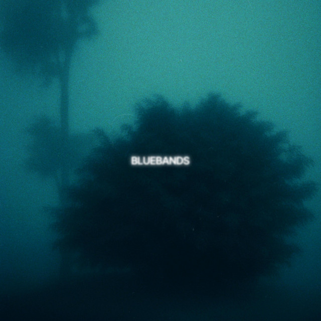 BLUEBANDS cover art