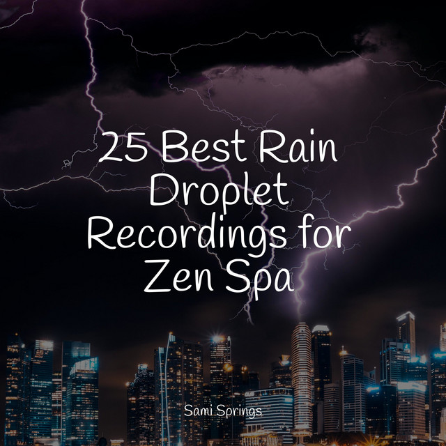 25 Meditation Rain Sounds - Album by Namaste Healing Yoga | Spotify