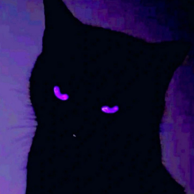 Black cover art