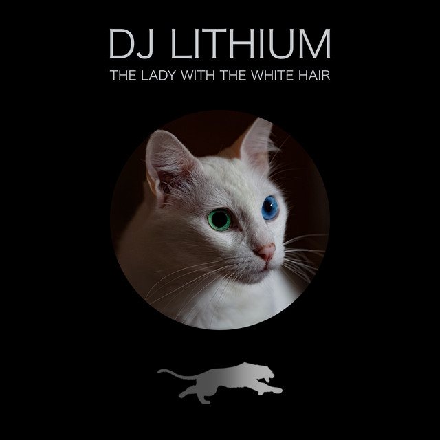The Lady with the White Hair cover