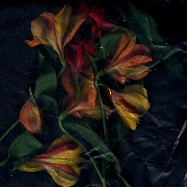 Another Fact (Remixes) cover