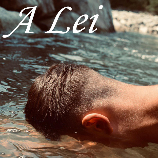 A Lei cover art