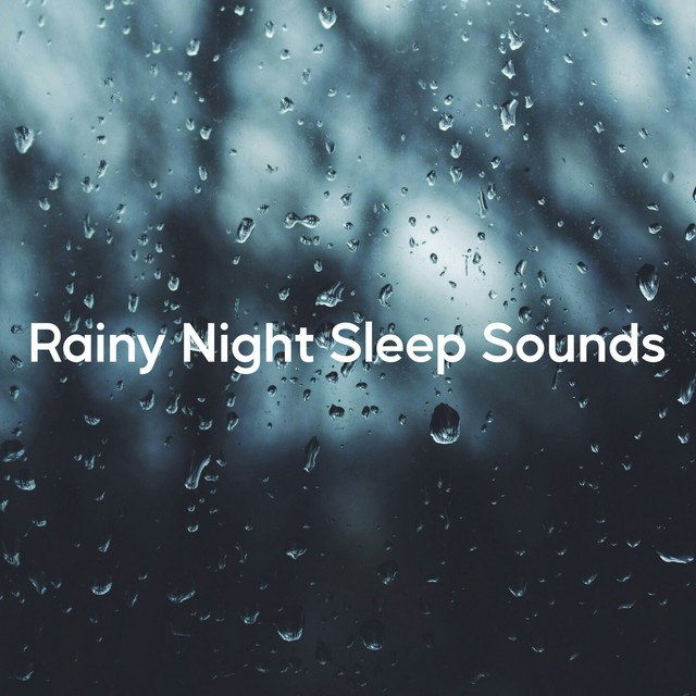 Rainy Night Sleep Sounds
