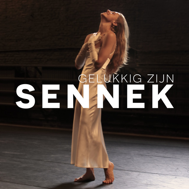 Gelukkig zijn cover