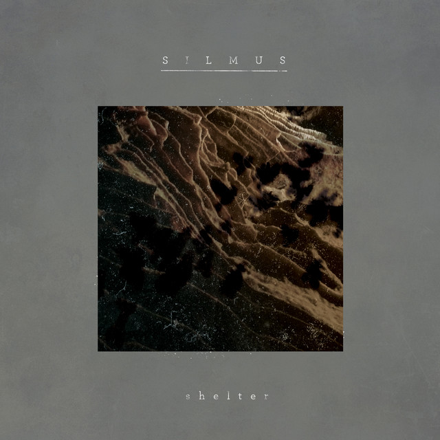 Shelter cover art