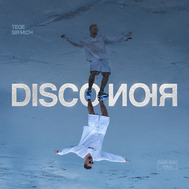 DIsco NoIr cover
