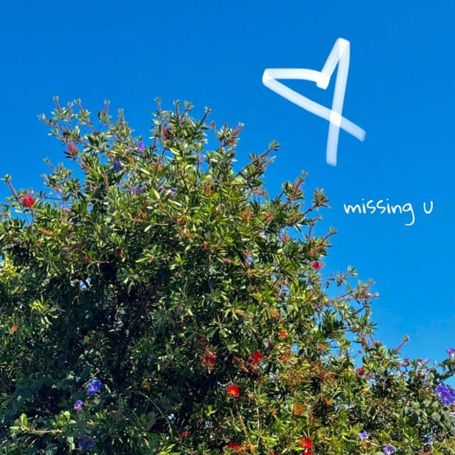missing u cover art