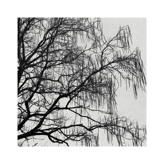 Arbor cover